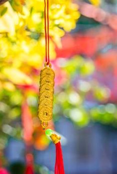 đổi thưởng nhanh Debet